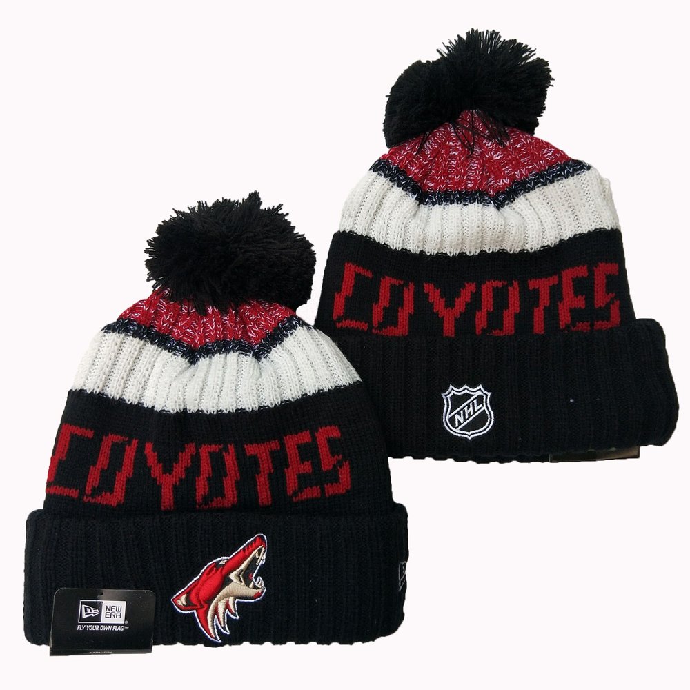 arizona_coyotes_beanies_knit_hat_6uh3iqylokbp